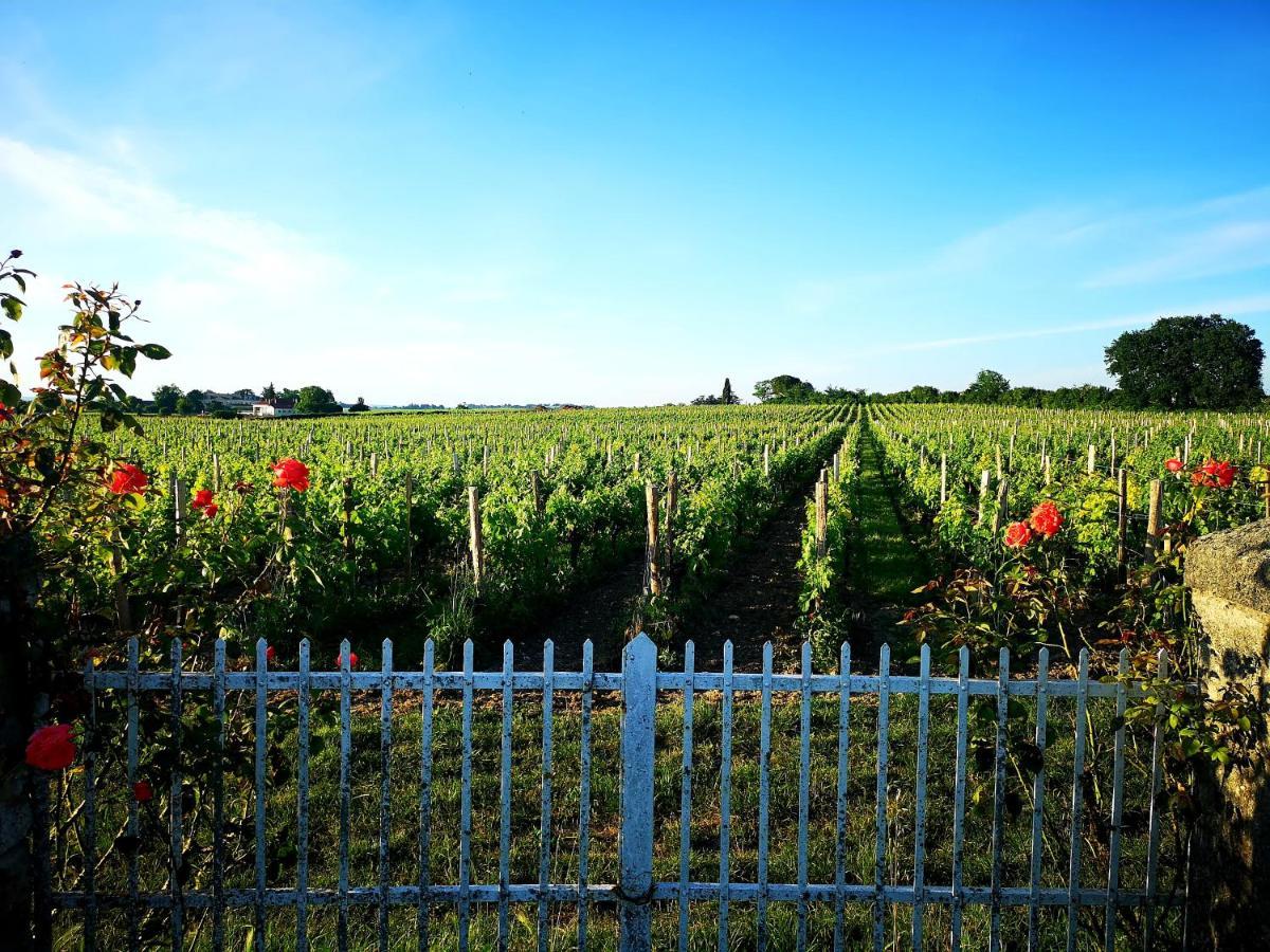 Apartmán La Maison Des Vignes Saint Emilion Exteriér fotografie