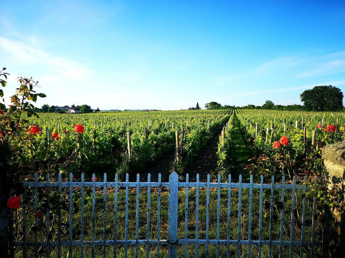 La Maison Des Vignes Saint Emilion Exteriér fotografie